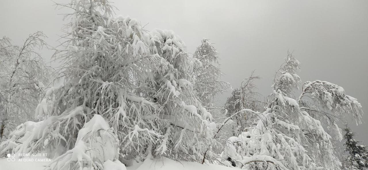 Na Malej Szklarska Poręba Exterior foto